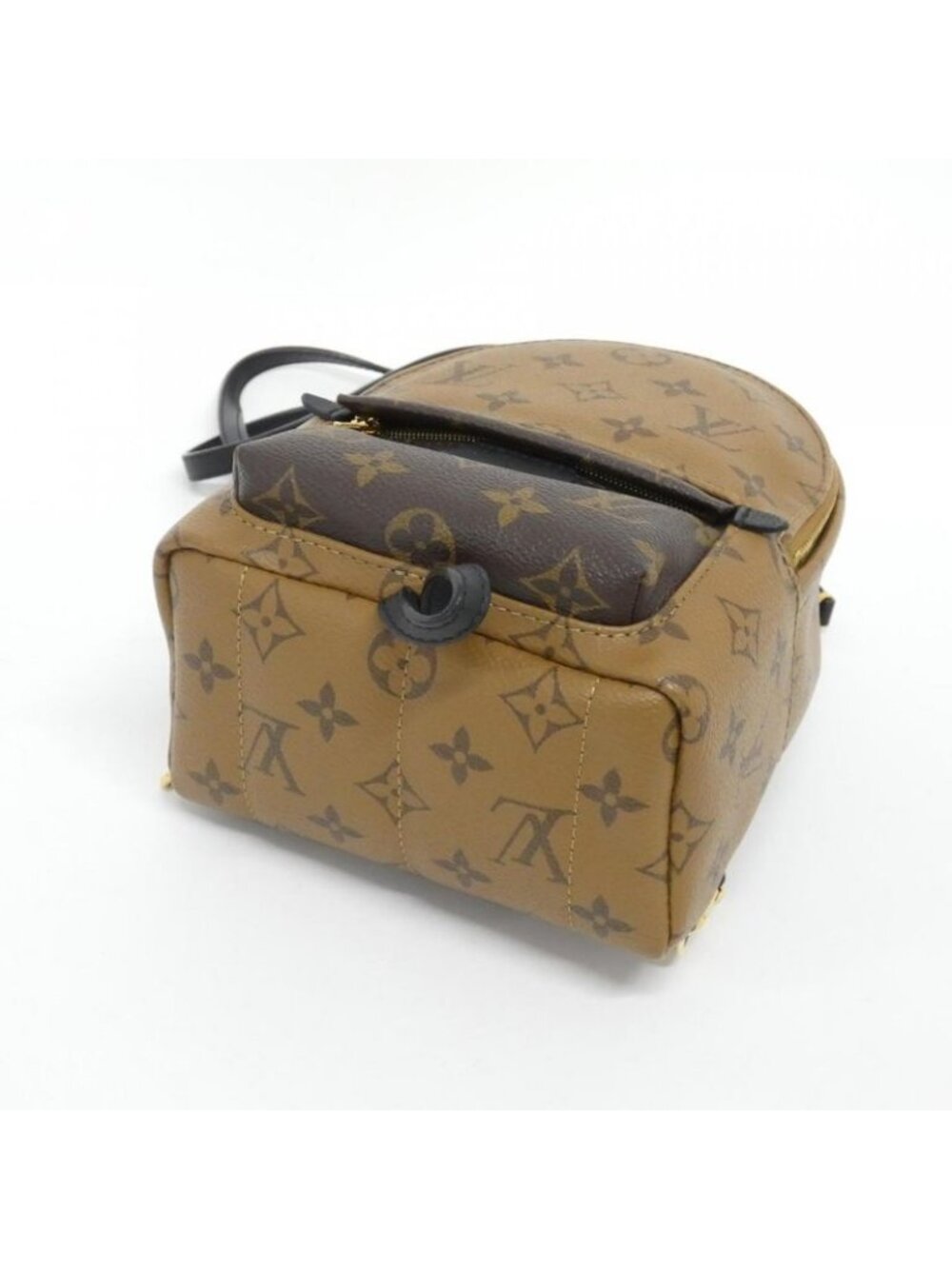 Louis Vuitton Monogram Reverse Palm Spring Backpack Mini Sac - Picture 3 of 6